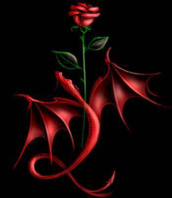 LA ROSE